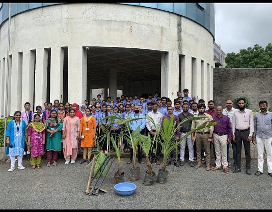 Tree Plantation