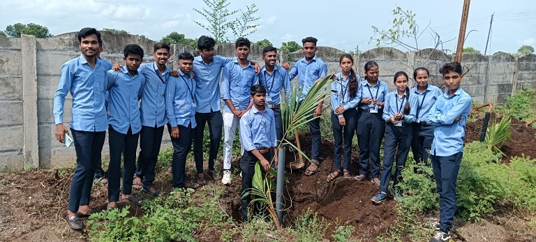 Tree Plantation